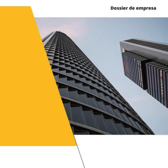 dossier de empresa dorado administracion y gestion 1